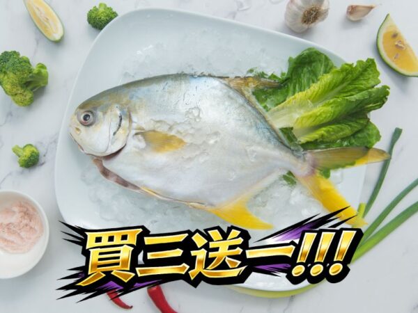 2026黃金鲳 買三送一 01 compressed